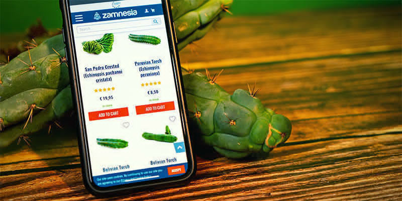 Mistä ostaa Echinopsis zamnesiana Mistä ostaa Echinopsis zamnesiana