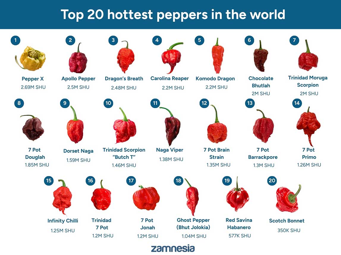 Maailman 20 tulisinta chili&auml;