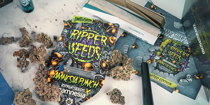 Zamnesia ja Ripper Seeds: kasvatustyön yhteistyö Zamnesia And Ripper Seeds: A Collaboration Of Cultivar