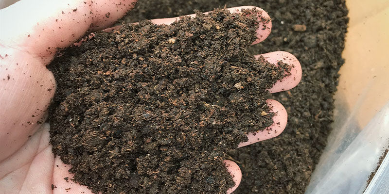 Mitä makro- ja mikroravinteita lepakkoguano sisältää? What Macro And Micronutrients Does Bat Guano Contain?