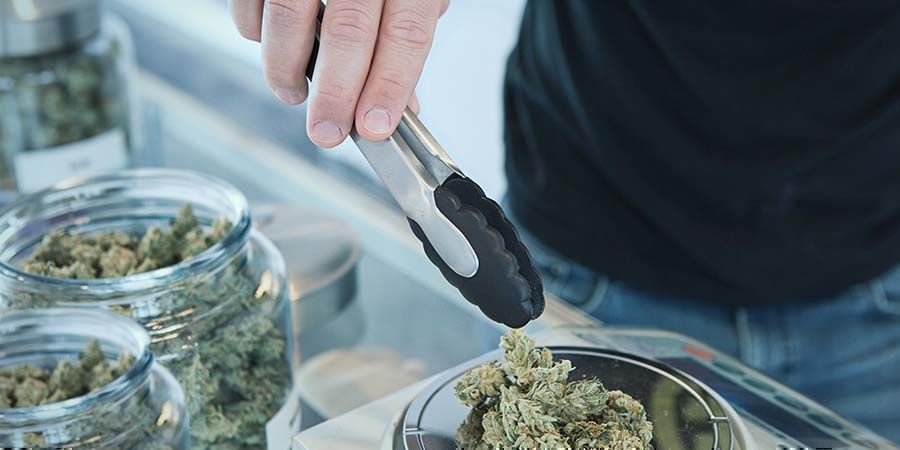 Saatavuus Lääkekannabis vs. viihdekannabis: saatavuus