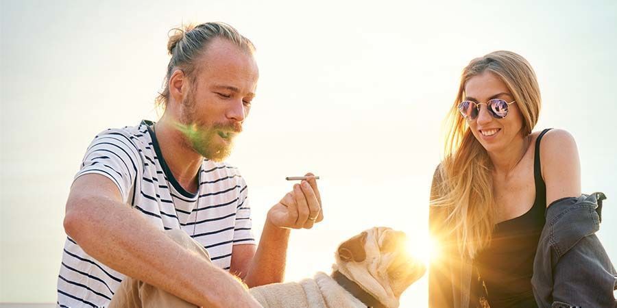 Käytön tarkoitus Medical Vs Recreational Cannabis: Purpose of Use