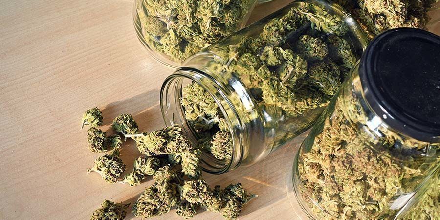 Viihdekäyttöön tarkoitetut kannabislajikkeet – parhaat Top Recreational Cannabis Strains