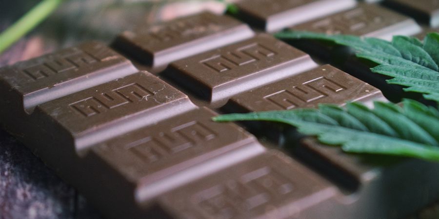 Hampun k&auml;ytt&ouml;tavat: ruoka ja juoma