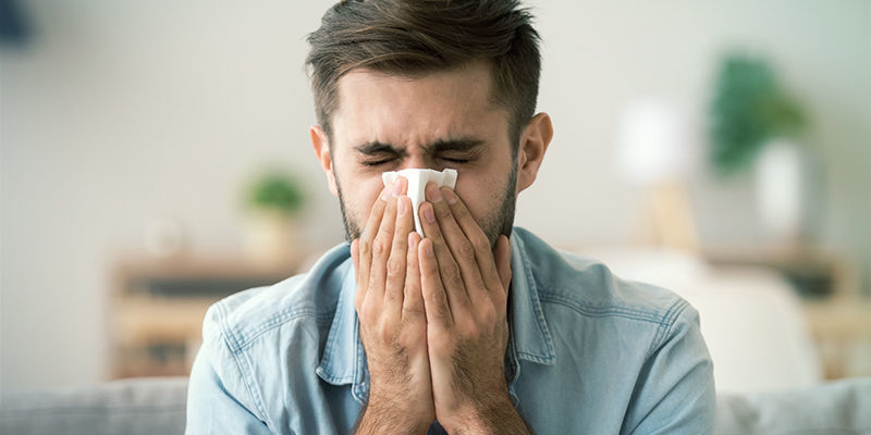 Voiko kannabikselle olla allerginen? Voiko kannabikselle olla allerginen?