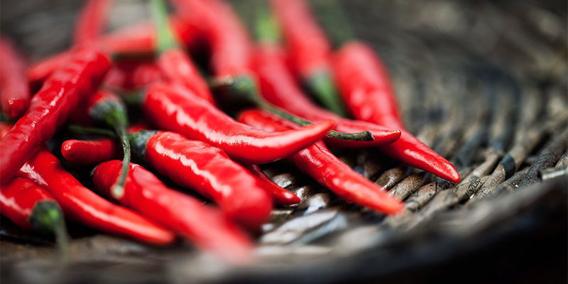 Kuinka korjata Cayenne Long Slim -chilipaprikoita Kuinka korjata Cayenne Long Slim -chilipaprikoita