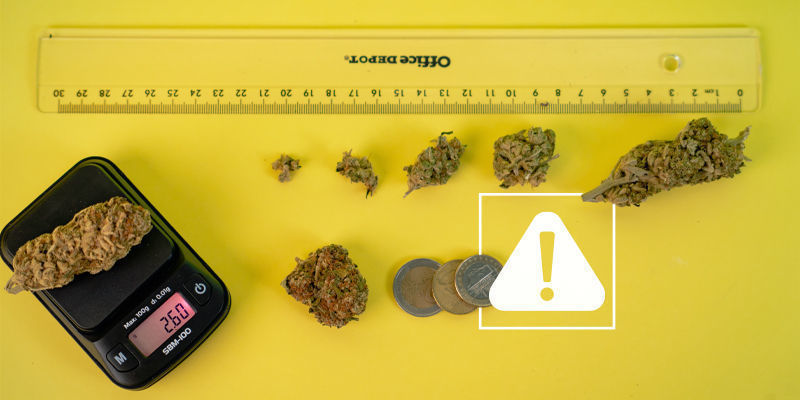 DIY-vaakojen käytön riskit kannabiksen mittaamisessa DIY-vaakojen käytön riskit kannabiksen mittaamisessa