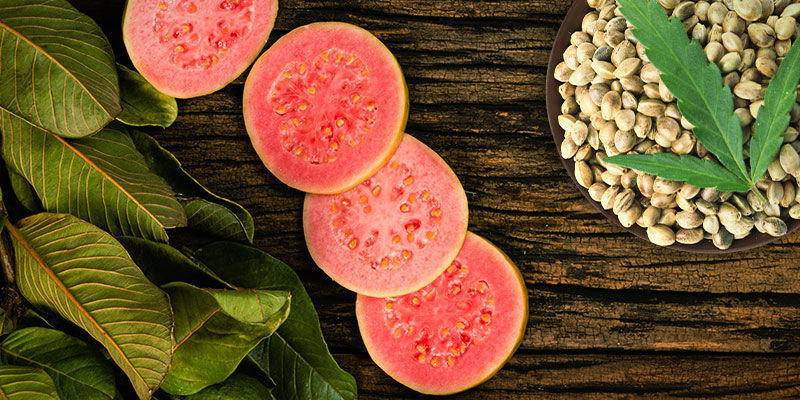 Frosted Guava: maku ja vaikutukset