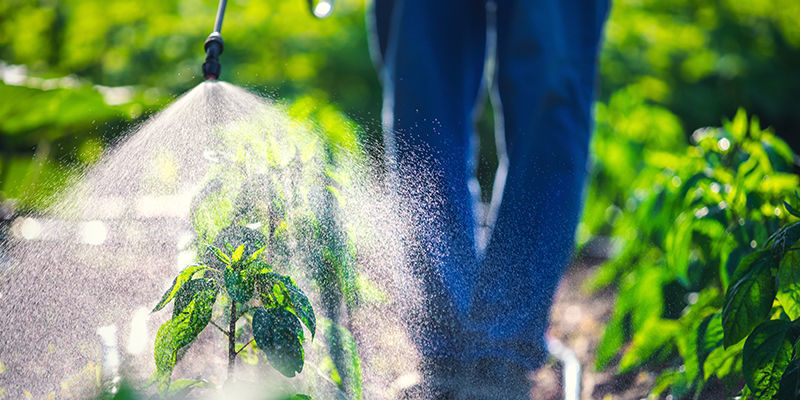 Ovatko luonnonmukaiset torjunta-aineet parempia kuin synteettiset? Are Natural Pesticides Better Than Synthetic?