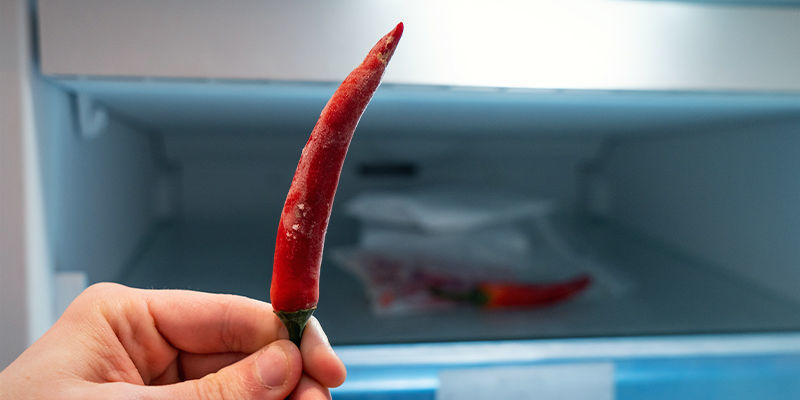 Tulisten chilien sulatus ja käyttö Tulisten chilien sulatus ja käyttö