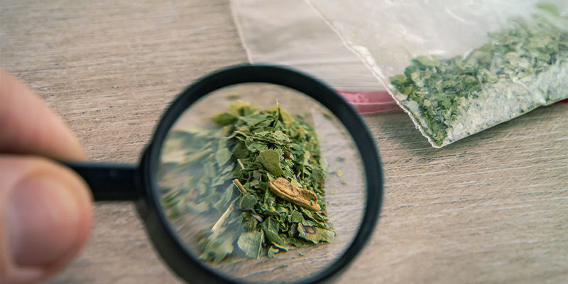 Happamat, dekarboksyloidut ja synteettiset kannabinoidit: ymmärrä erot Happamat, dekarboksyloidut ja synteettiset kannabinoidit: ymmärrä erot