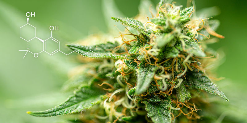 Mikä on heksahydrokannabinoli (HHC)? Mikä on heksahydrokannabinoli (HHC)?