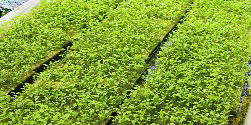 Ebb And Flow Systems Ebb And Flow Systems
