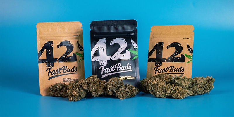 FastBuds Kansainväliset kumppanuudet FastBuds international partnerships