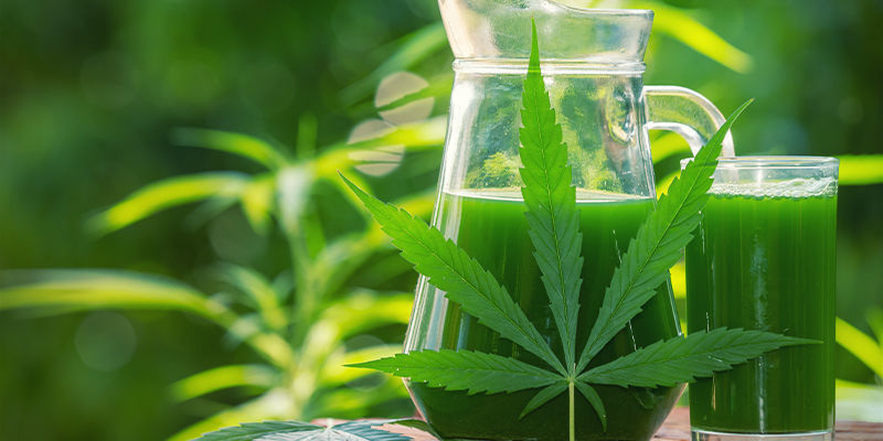 Mitä on raaka kannabismehu? Mitä on raaka kannabismehu?