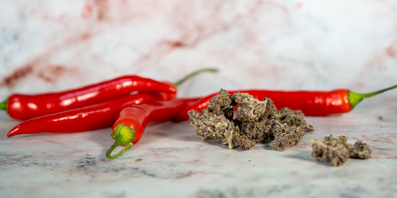Vaihtoehto: kannabiksella infusoitu chiliöljy Variation: Cannabis-infused chilli oil