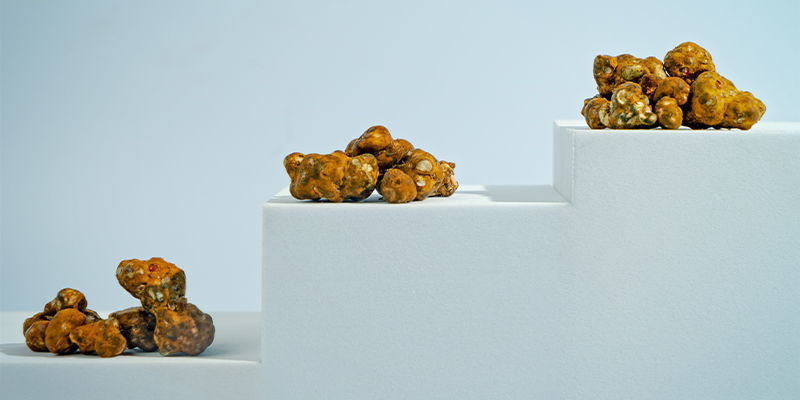 Magic Truffles Magic Truffles