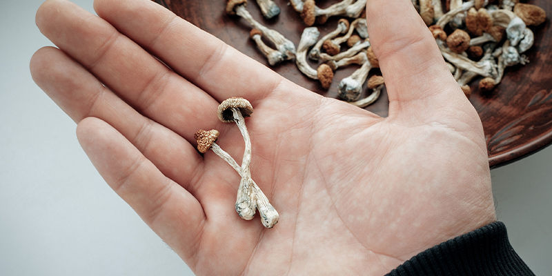 Parhaat vinkit mikroannosteluun Parhaat vinkit mikroannosteluun