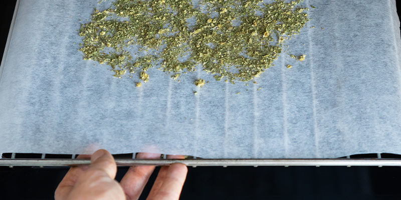 Kannabiksen paistaminen uunissa Kannabiksen paistaminen uunissa