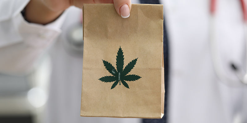 Kannabiksen kuivaus ruskeissa paperipusseissa Kannabiksen kuivaus ruskeissa paperipusseissa
