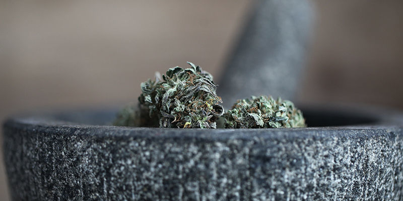 Voiko kannabista vetää nenään? Voiko kannabista vetää nenään?