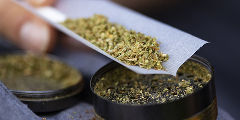 Käytä kannabista perinteisillä tavoilla Käytä kannabista perinteisillä tavoilla