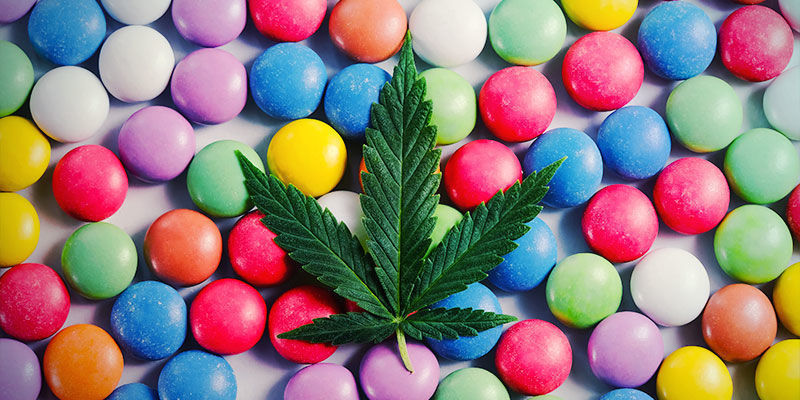Miten käyttää kannabista unen tueksi Miten käyttää kannabista unen tueksi