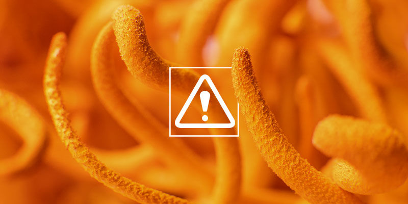 Onko cordyceps vaarallinen? Onko cordyceps vaarallinen?