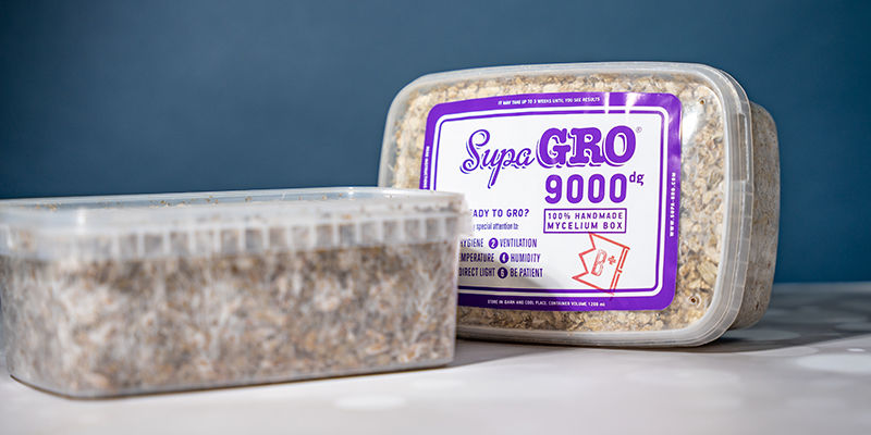 Sienten kasvatussarjat Mushroom Grow Kits