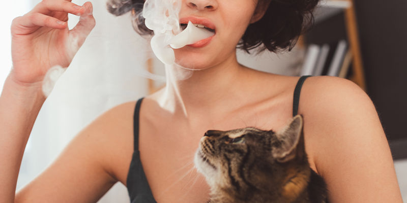 Voivatko eläimet tulla pilveen passiivisesta kannabissavusta? Voivatko eläimet tulla pilveen passiivisesta kannabissavusta?