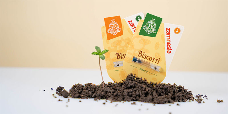Näin kasvatat Biscottia How to grow Biscotti