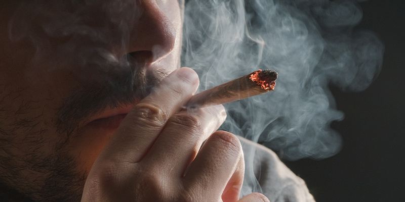 Kannabiksen sisäänhengittämisen toimintaperiaate Kannabiksen sisäänhengittämisen toimintaperiaate