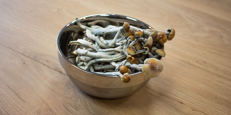 Psykedeelit ja MAOI:t Psychedelics and MAOIs