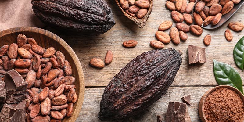 Mitä ovat monoamiinioksidaasin estäjät (MAO-estäjät)? Mitä ovat monoamiinioksidaasin estäjät (MAO-estäjät)?
