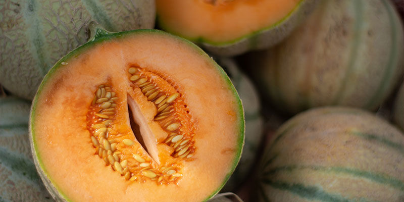 Charentais-meloni Charentais Melon