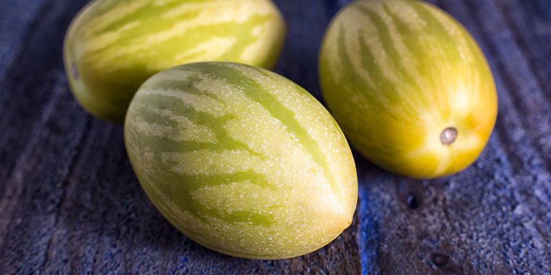 Melon Pear Melon Pear