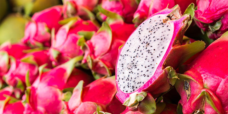 Lohikäärmehedelmä Dragon Fruit