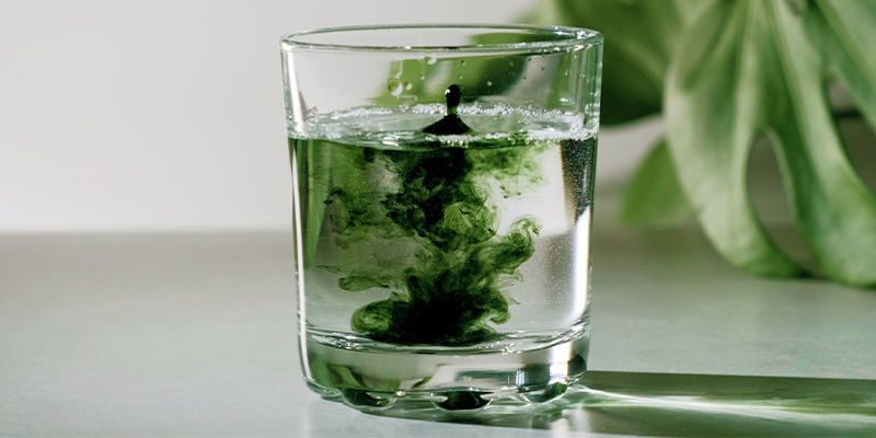 Chlorella: Loistava lisä mihin tahansa terveelliseen ruokavalioon Chlorella: Loistava lisä mihin tahansa terveelliseen ruokavalioon