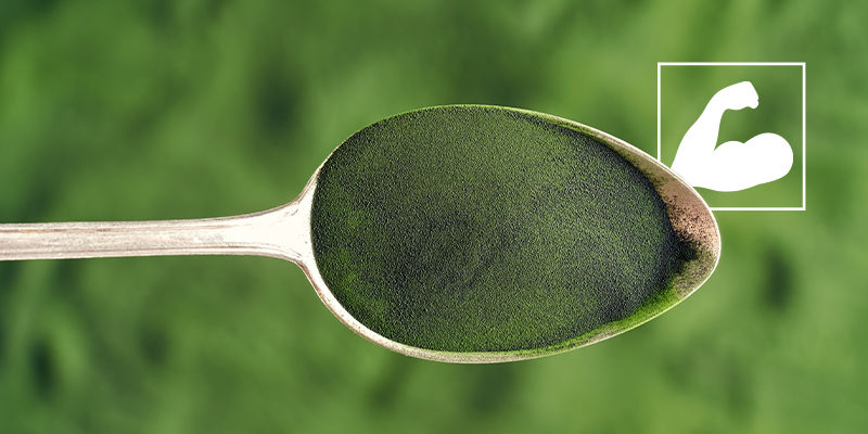 Mitä terveyshyötyjä chlorellalla on? Mitä terveyshyötyjä chlorellalla on?