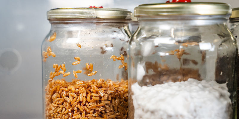 Viljasta bulkkiin Grain to bulk