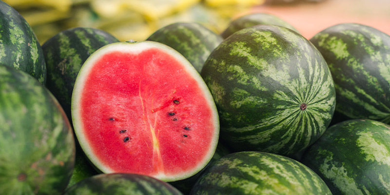 Vesimeloni Watermelon