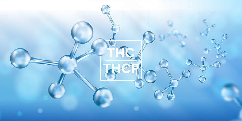 Miten THCP eroaa THC:stä? Miten THCP eroaa THC:stä?