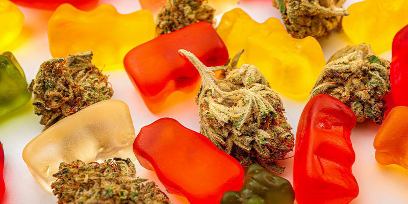 Mitkä ovat parhaat kannabistuotteet THC:n mikroannosteluun? Mitkä ovat parhaat kannabistuotteet THC:n mikroannosteluun?