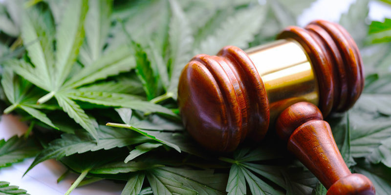 Milloin kannabis laillistetaan? Milloin kannabis laillistetaan?