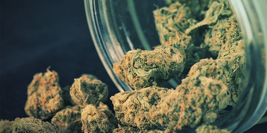 Terpenoidit Terpenoidit