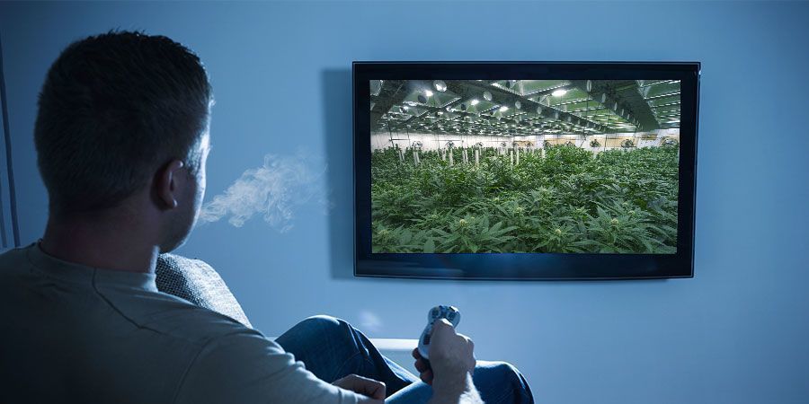 Kannabiksen yhdistäminen dokumentteihin PAIRING WEED WITH DOCUMENTARIES