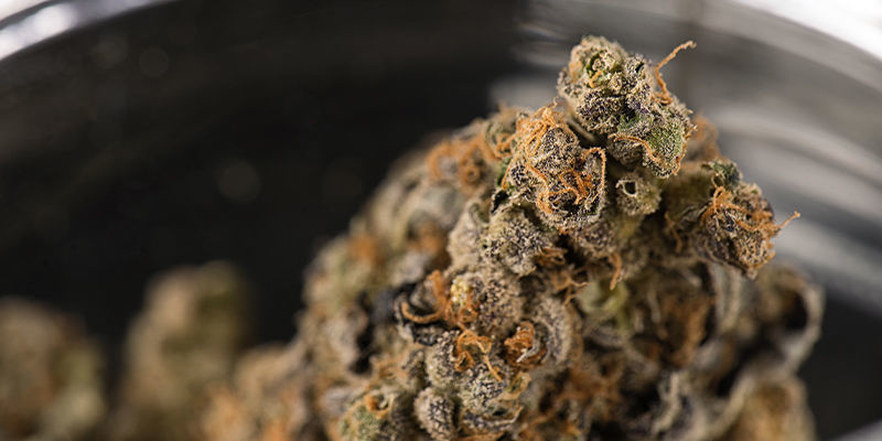 Onko kannabis käynyt avaruudessa aiemmin? Has Cannabis Been To Space Before?