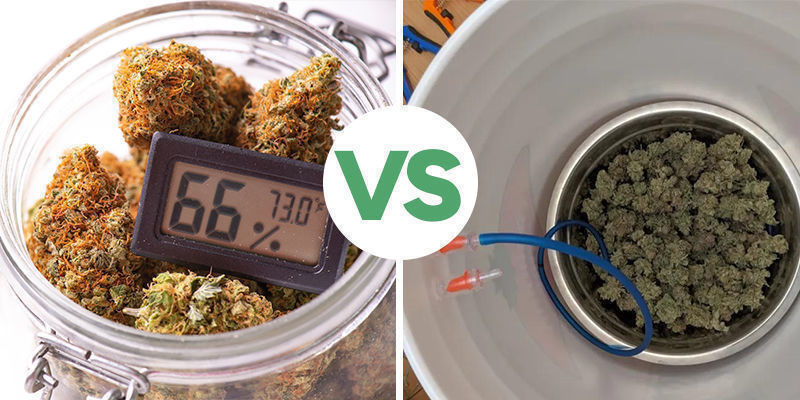 Kannabiksen curing: manuaalinen vs. automaattinen Kannabiksen curing: manuaalinen vs. automaattinen