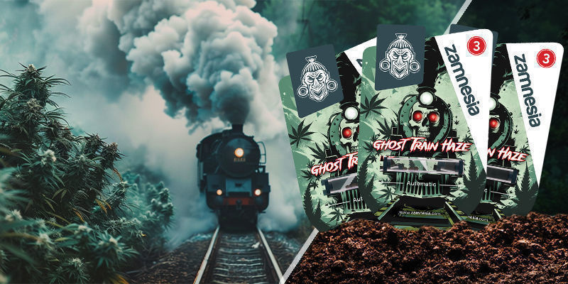 Ghost Train Haze Ghost Train Haze
