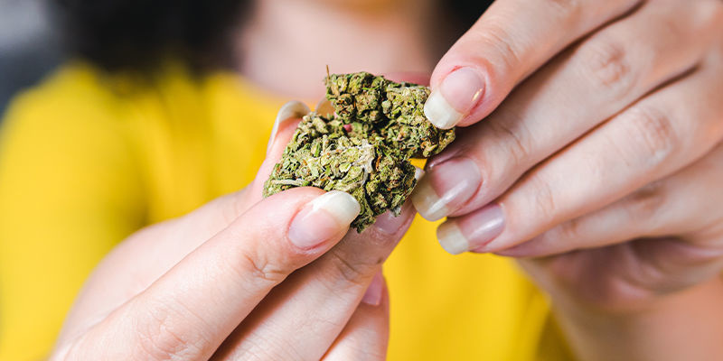 Onko THCa-kukinto laillinen? Onko THCa-kukinto laillinen?